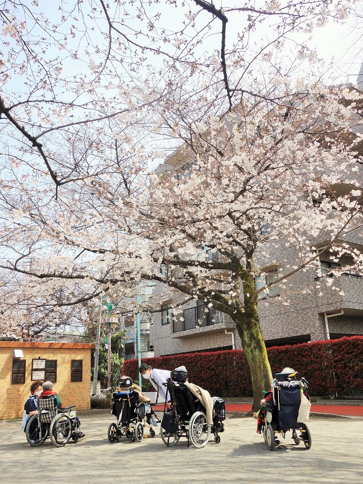 3月22日　お花見開始